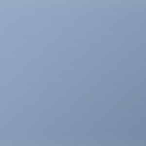 Banner Grids Premium Colored Contact Lenses