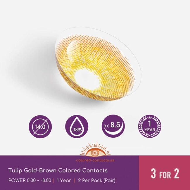 Tulip Gold-Brown Colored Contacts - Colored Contacts Tulip Gold-Brown Colored Contacts