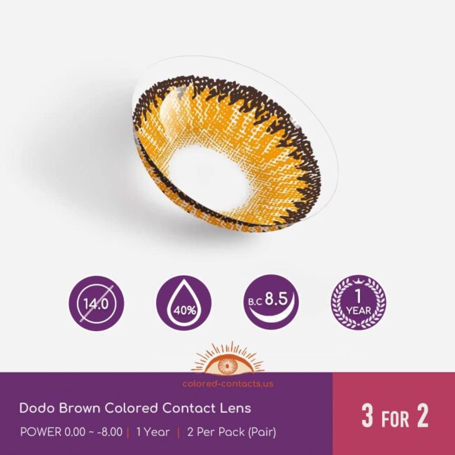 Dodo Brown Colored Contact Lens - Colored Contacts Dodo Brown Colored Contact Lens