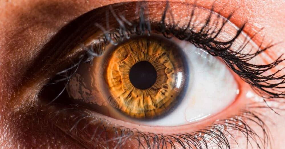 Why People Are So Obsessed With Hazel Eyes? - Colored Contacts Hazel Eyes
