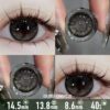 Queen Bee Dark Ray Contact Lenses - Colored Contacts Queen Bee Dark Ray Contact Lenses