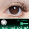 Royal Dusty Pink Contact Lenses