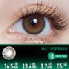 Starlight Hazel Contact Lenses - Colored Contacts Starlight Hazel Contact Lenses