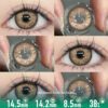 Egyptian Queen Brown Contact Lenses - Colored Contacts Egyptian Queen Brown Contact Lenses
