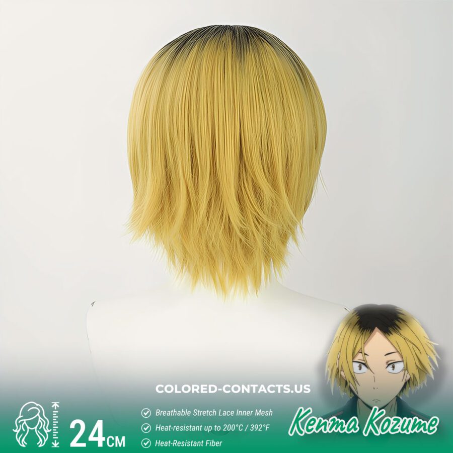 Kenma Kozume Cosplay Wig - Image 2