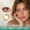 Calendula Mirage Gold Contact Lenses