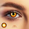 Werewolf Orange Halloween Contacts