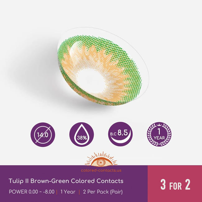 Tulip Ii Brown-Green Colored Contacts