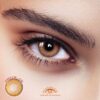 Trinity Brown Colored Contacts