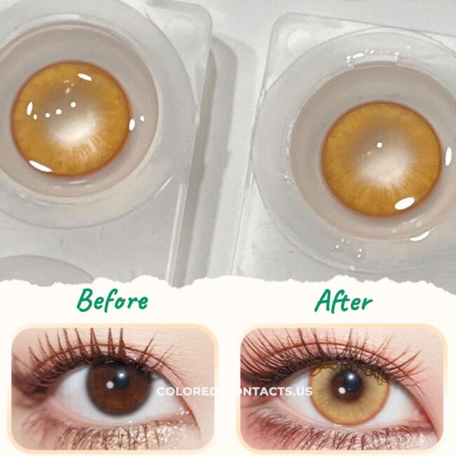 Honey Glow Contact Lenses | 4-Lens Pack - Honey Glow Contact Lenses 2