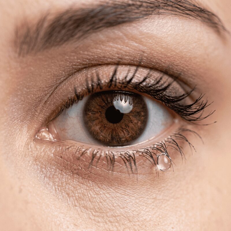 Brown Colored Contact Lens With Tear